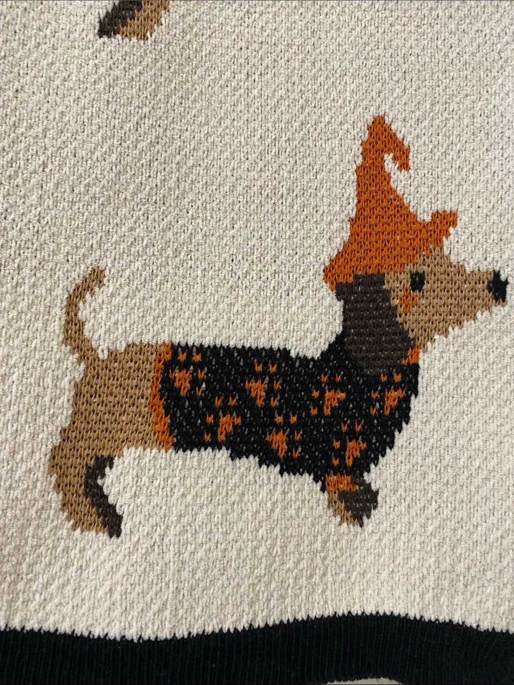NWT.  Isaac Mizrahi, Halloween dachshund, throw blanket.